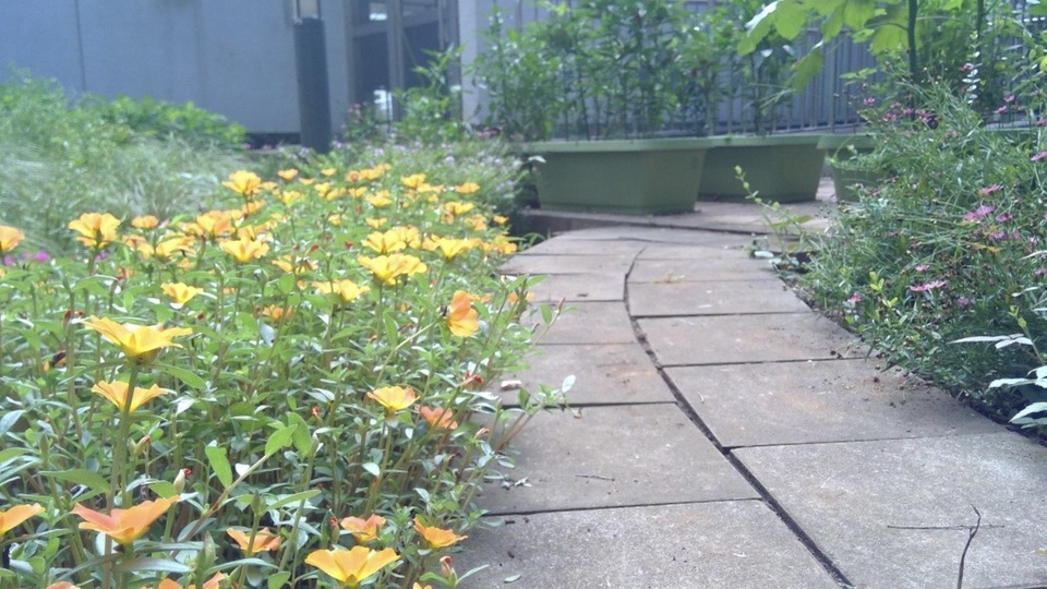 image4_k0955694metro.ed.jp 1